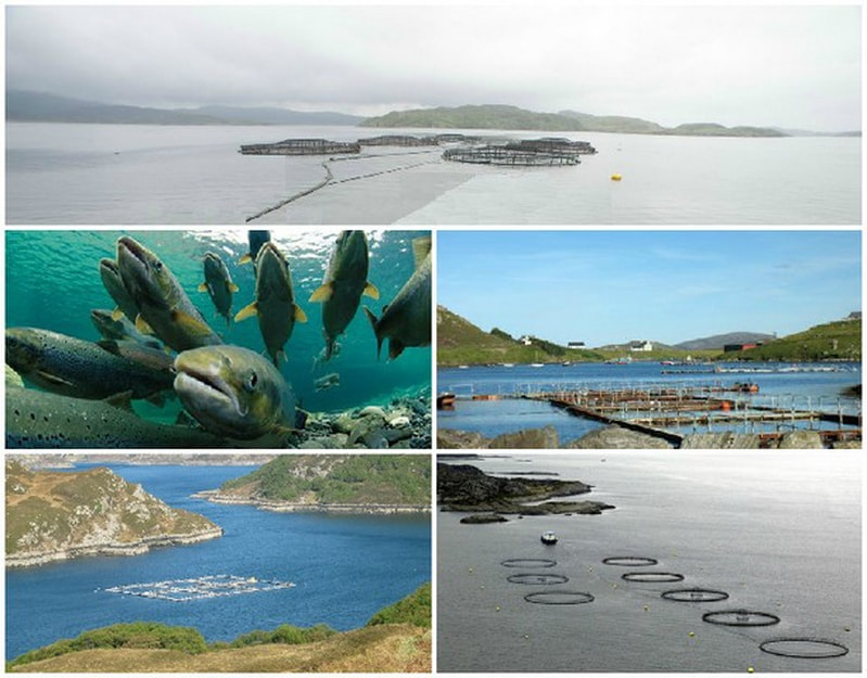 Fish Farming Isle of Lewis & Harris Stornoway Facilities