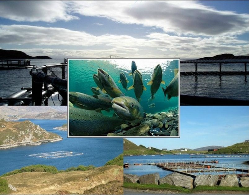 Sea Lochs & Fish Farms Stornoway Facilities
